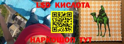 ГАЛЛЮЦИНОГЕННЫЕ ГРИБЫ Заволжье