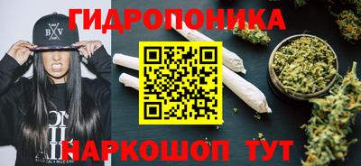 ГАЛЛЮЦИНОГЕННЫЕ ГРИБЫ Заволжье